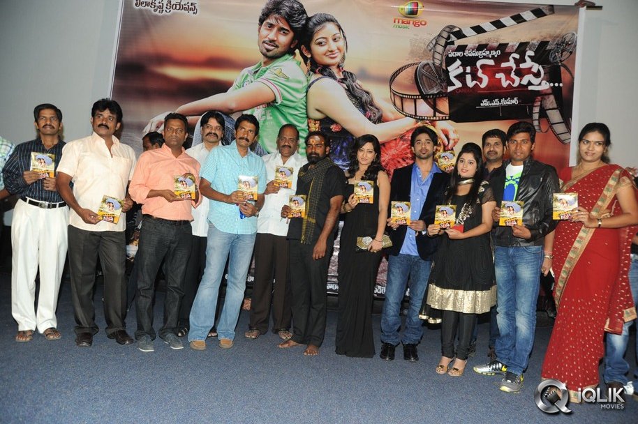 Cut-Chesthe-Movie-Audio-Launch